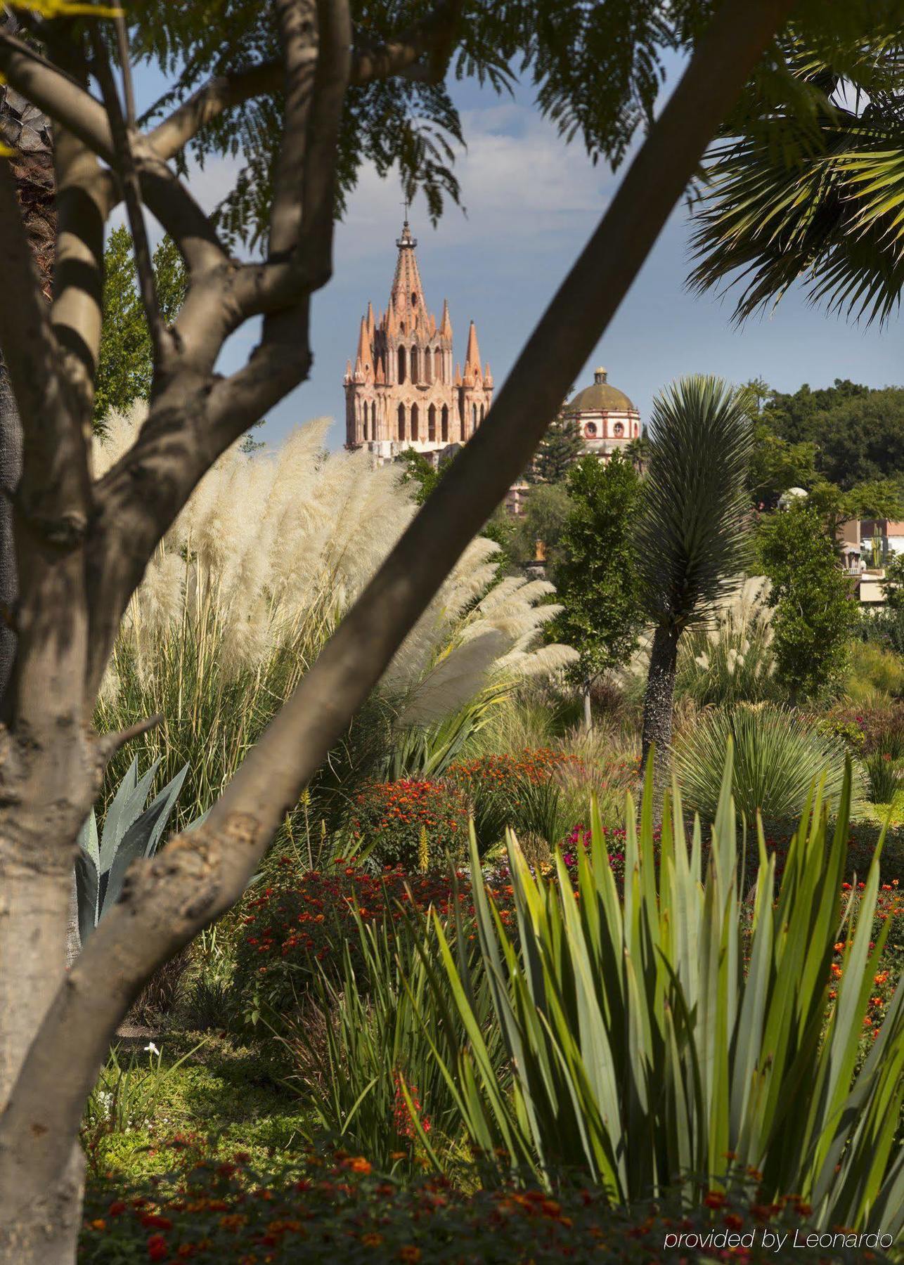 Rosewood San Miguel Hotell San Miguel de Allende Exteriör bild